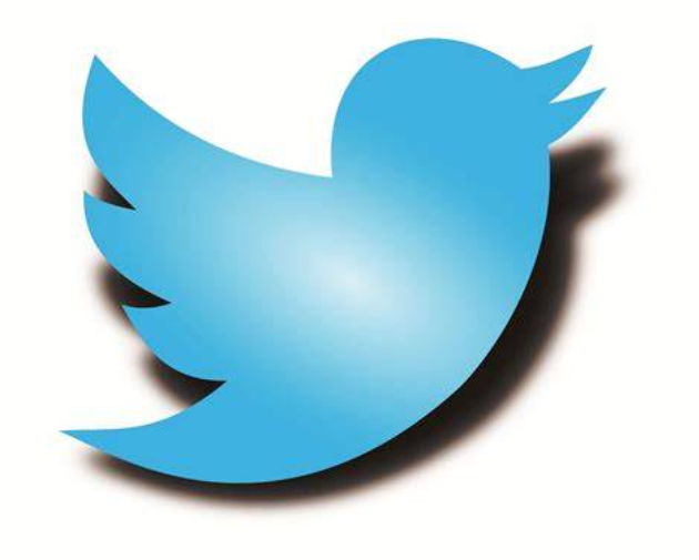 twittervpn加速器 Logo